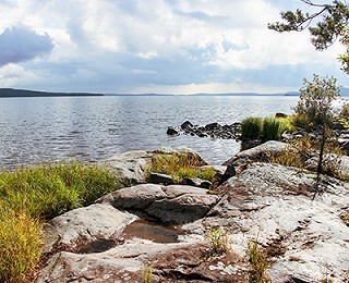 Ympäristö ja vastuullisuus